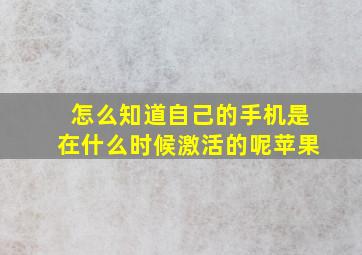 怎么知道自己的手机是在什么时候激活的呢苹果