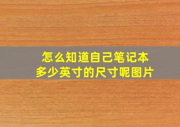 怎么知道自己笔记本多少英寸的尺寸呢图片