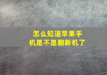 怎么知道苹果手机是不是翻新机了