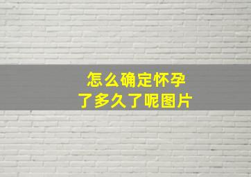 怎么确定怀孕了多久了呢图片