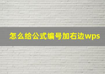 怎么给公式编号加右边wps