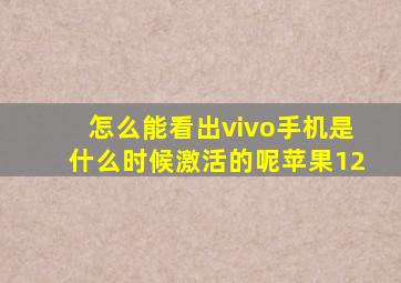 怎么能看出vivo手机是什么时候激活的呢苹果12