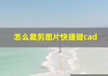 怎么裁剪图片快捷键cad