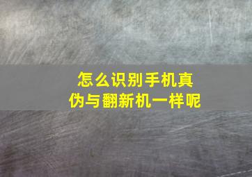 怎么识别手机真伪与翻新机一样呢