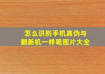 怎么识别手机真伪与翻新机一样呢图片大全