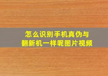 怎么识别手机真伪与翻新机一样呢图片视频