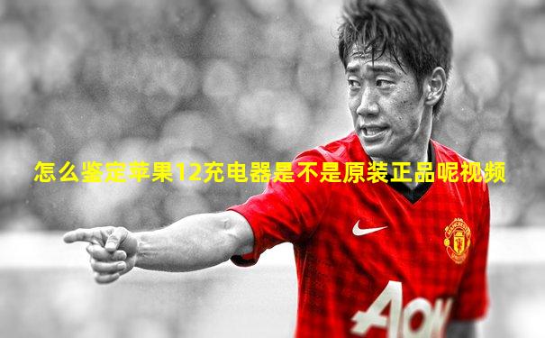 怎么鉴定苹果12充电器是不是原装正品呢视频
