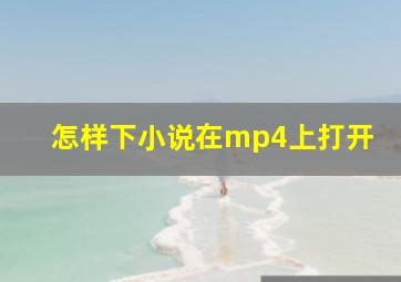 怎样下小说在mp4上打开