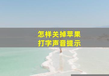 怎样关掉苹果打字声音提示