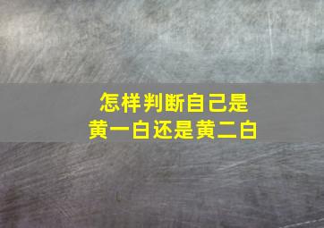 怎样判断自己是黄一白还是黄二白