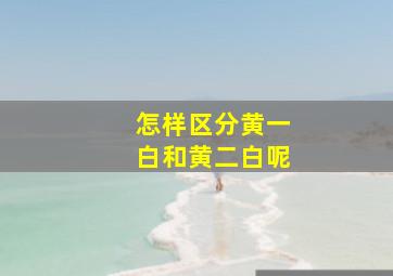 怎样区分黄一白和黄二白呢