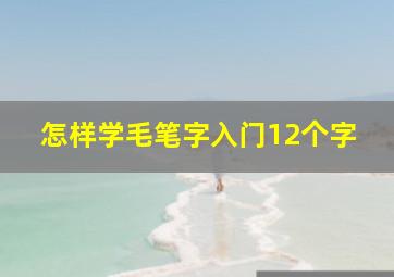 怎样学毛笔字入门12个字