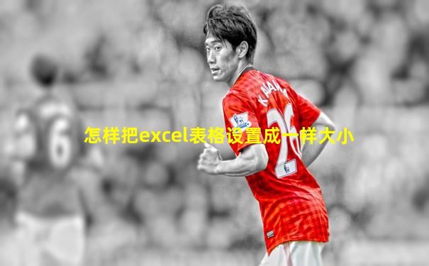 怎样把excel表格设置成一样大小