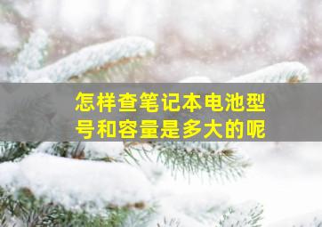 怎样查笔记本电池型号和容量是多大的呢