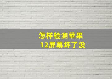 怎样检测苹果12屏幕坏了没