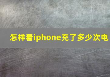 怎样看iphone充了多少次电