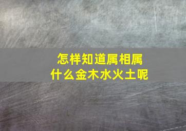 怎样知道属相属什么金木水火土呢