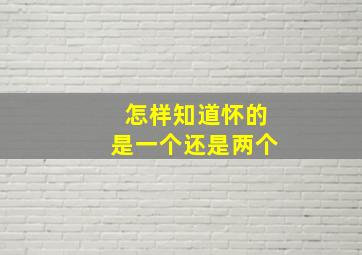 怎样知道怀的是一个还是两个