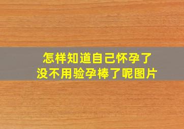 怎样知道自己怀孕了没不用验孕棒了呢图片