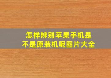 怎样辨别苹果手机是不是原装机呢图片大全