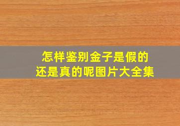 怎样鉴别金子是假的还是真的呢图片大全集