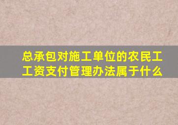 总承包对施工单位的农民工工资支付管理办法属于什么