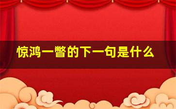 惊鸿一瞥的下一句是什么