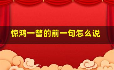 惊鸿一瞥的前一句怎么说