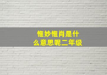 惟妙惟肖是什么意思呢二年级