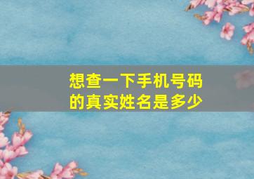 想查一下手机号码的真实姓名是多少