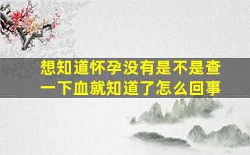 想知道怀孕没有是不是查一下血就知道了怎么回事