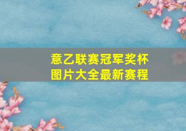 意乙联赛冠军奖杯图片大全最新赛程