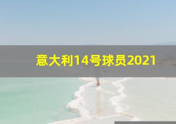 意大利14号球员2021