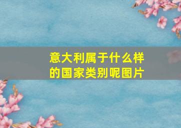 意大利属于什么样的国家类别呢图片