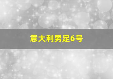 意大利男足6号