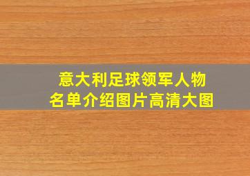 意大利足球领军人物名单介绍图片高清大图