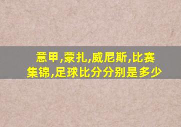 意甲,蒙扎,威尼斯,比赛集锦,足球比分分别是多少