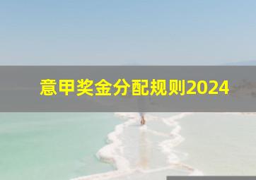 意甲奖金分配规则2024