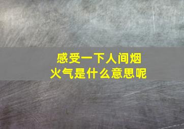 感受一下人间烟火气是什么意思呢