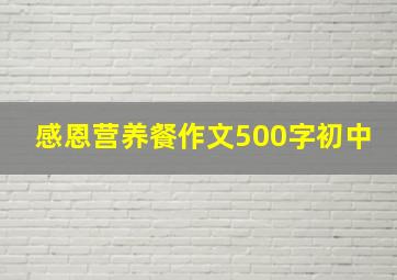 感恩营养餐作文500字初中