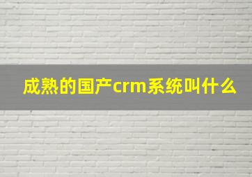 成熟的国产crm系统叫什么