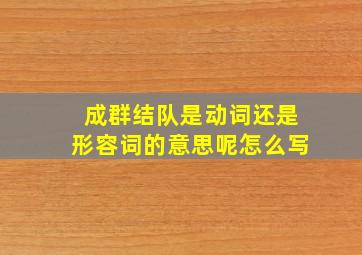 成群结队是动词还是形容词的意思呢怎么写