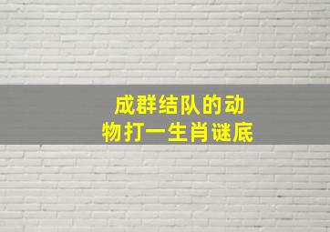 成群结队的动物打一生肖谜底