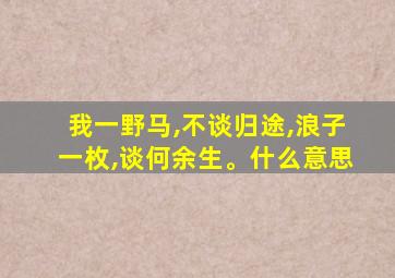 我一野马,不谈归途,浪子一枚,谈何余生。什么意思