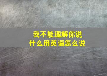 我不能理解你说什么用英语怎么说