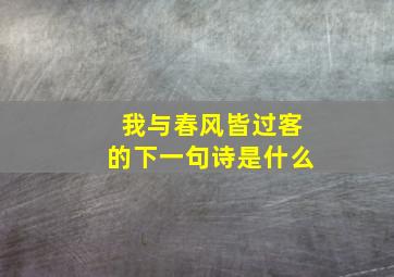 我与春风皆过客的下一句诗是什么