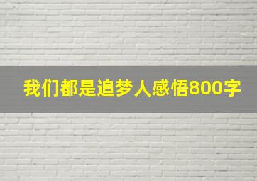 我们都是追梦人感悟800字