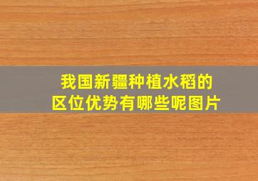 我国新疆种植水稻的区位优势有哪些呢图片