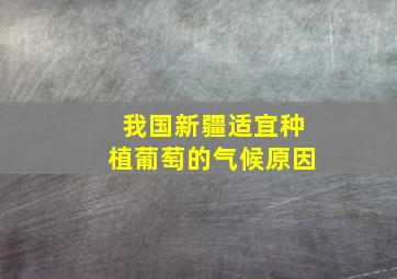 我国新疆适宜种植葡萄的气候原因