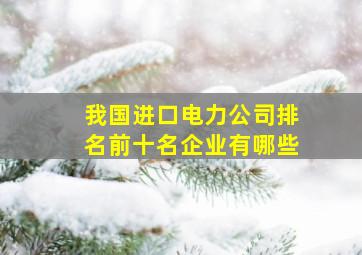 我国进口电力公司排名前十名企业有哪些